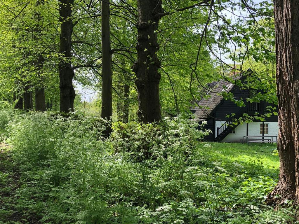 Het Wagenhuis Loon op Zand Zewnętrze zdjęcie
